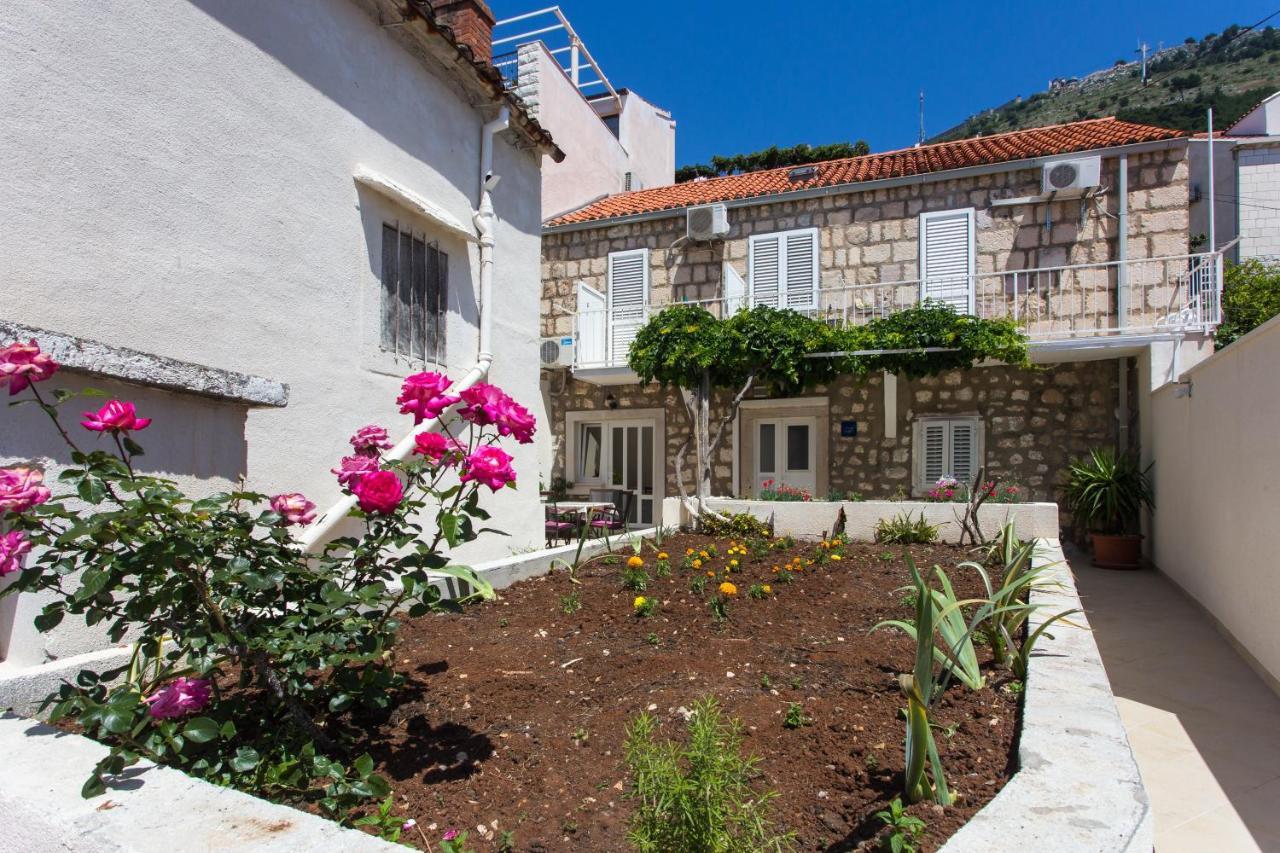 Apartments Aurelia Dubrovnik Eksteriør billede
